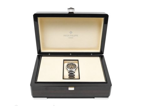 Patek Philippe TWENTY~4 7300 1200A-010 Watch Gris Online