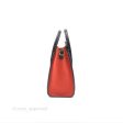 Celine Nano Luggage Grained Calfskin Gold Hardware Orange Black Beige Online Sale