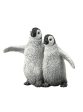 COLLECTA EMPEROR PENGUIN CHICKS (M) For Discount