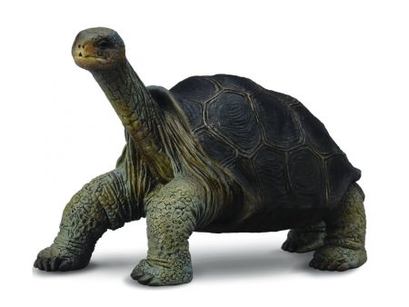 COLLECTA TORTOISE PINTA ISLAND GEORGE on Sale